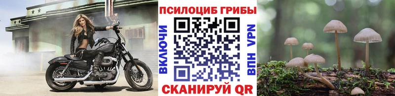 Галлюциногенные грибы прущие грибы  ОМГ ОМГ ССЫЛКА  Александровское 